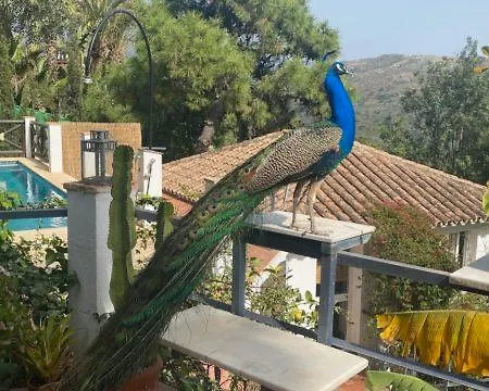 Country house Casa Simba Estepona